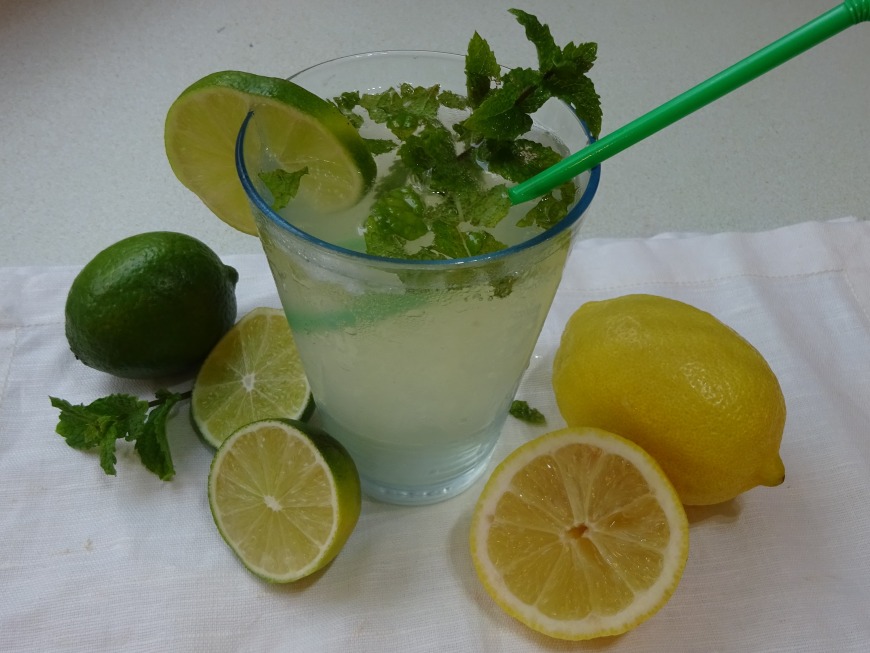 Apple, Elderflower and Mint Sparkle